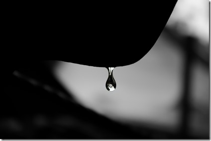 mayank-dhanawade-HuF1VgHHoWI-unsplash